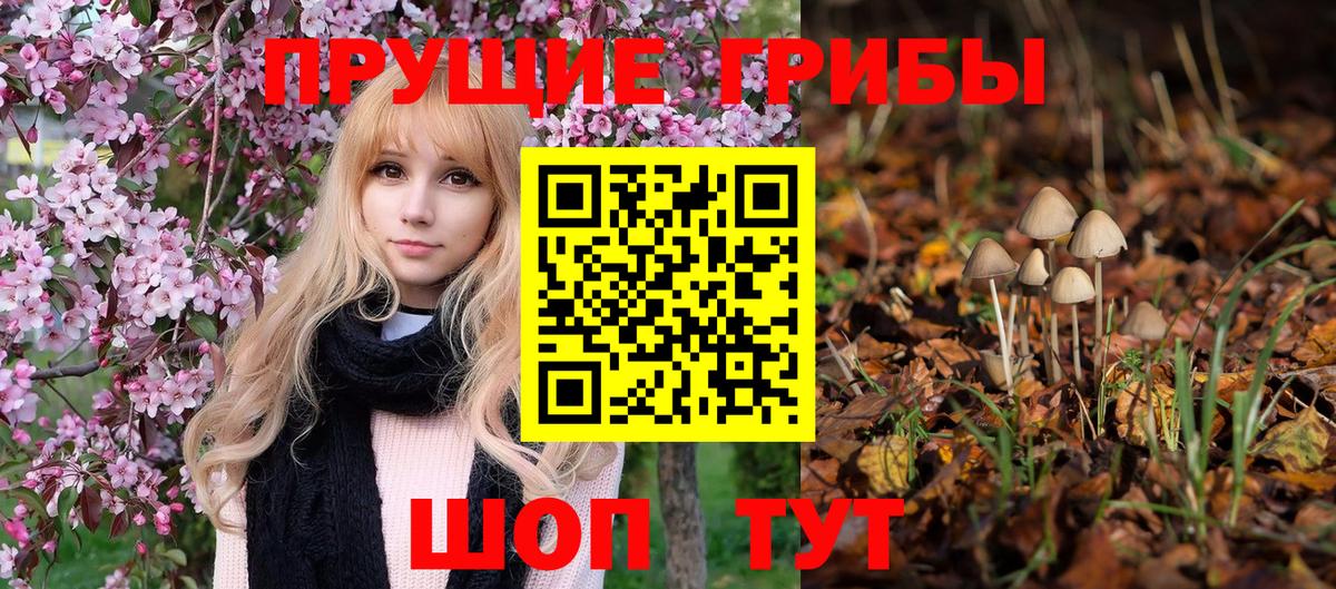 сколько стоит  Галлюциногенные грибы Psilocybe  Вход с VPN  Новоалтайск 